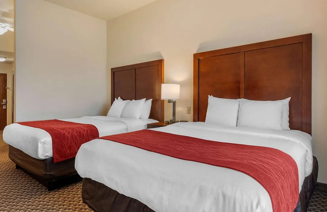 Comfort Inn & Suites Fort Myers Airport-1