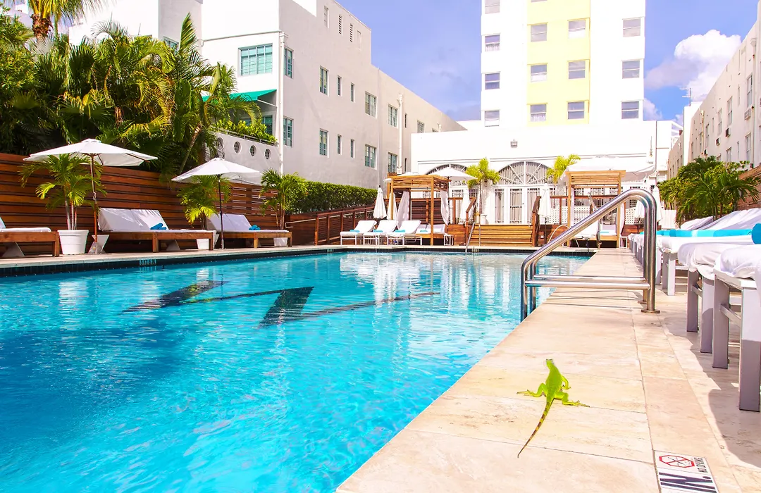 Marseilles Beachfront Hotel-1