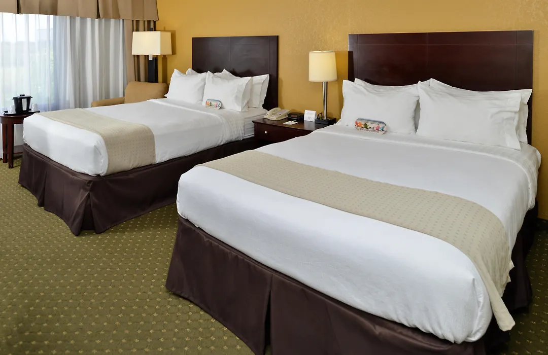 Holiday Inn St. Petersburg N - Clearwater By Ihg-1