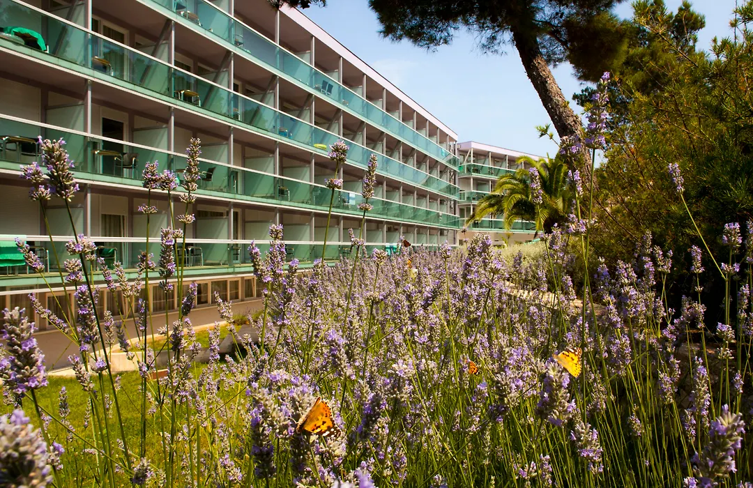 Hotel Aurora-1