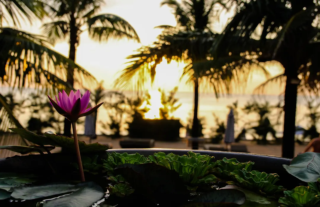 Cassia Cottage Resort And Spa-1