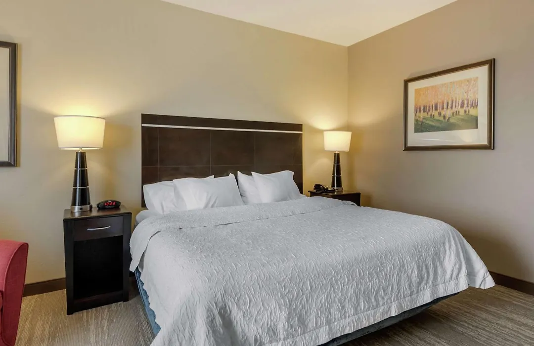 Hampton Inn Alamosa-1