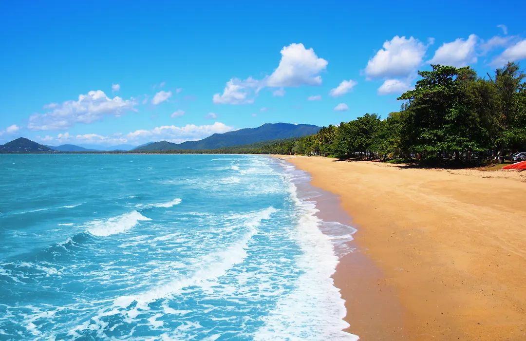 Drift Palm Cove-1