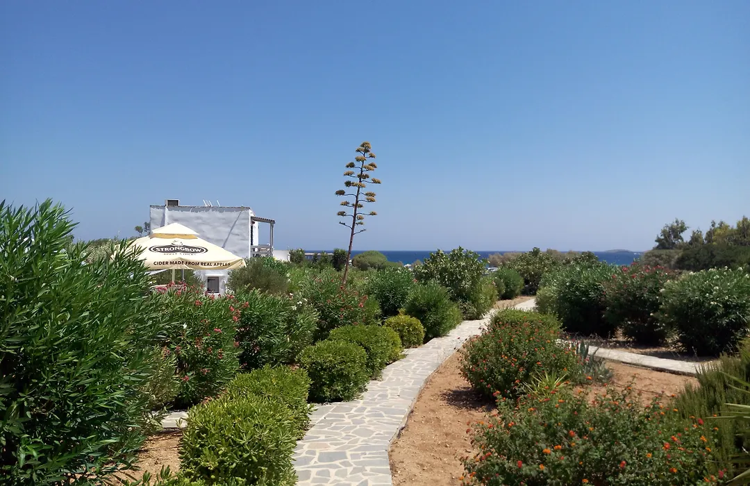 Soros Beach Antiparos-1