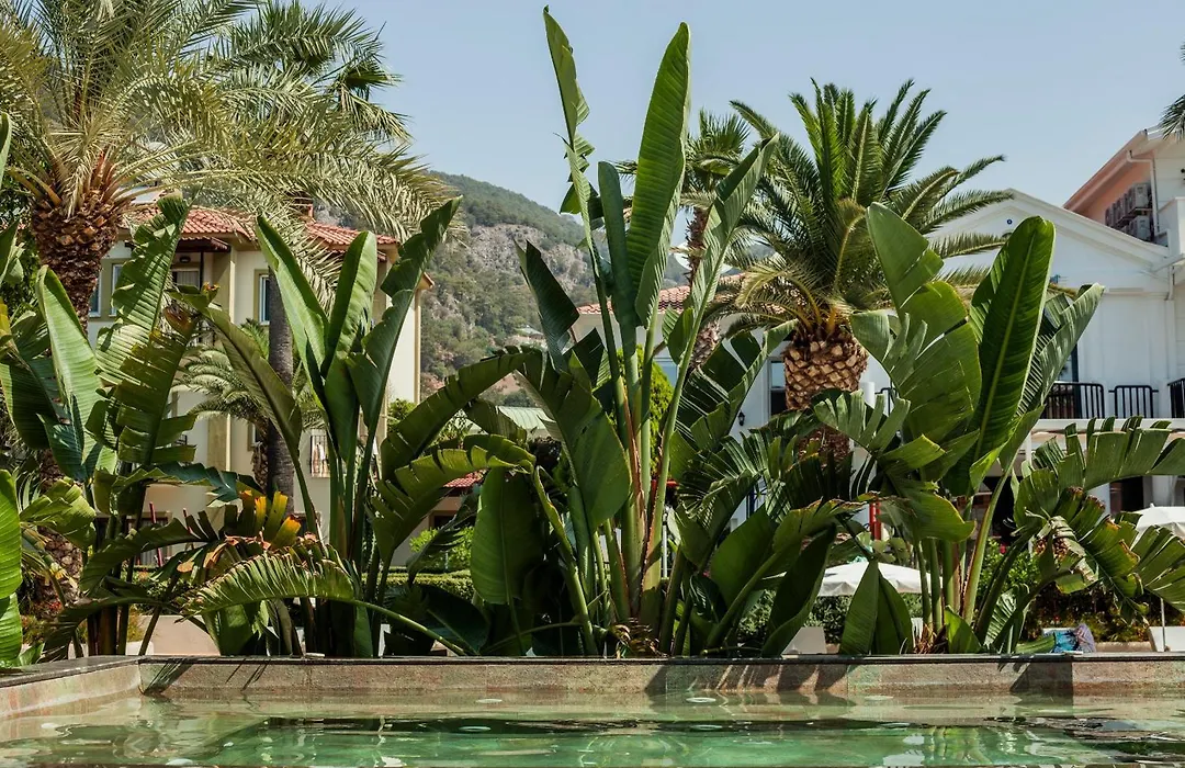 Hotel Karbel Sun-1