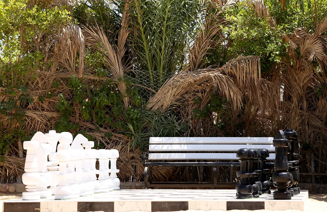 Minamark Beach Resort For Families And Couples Only-1