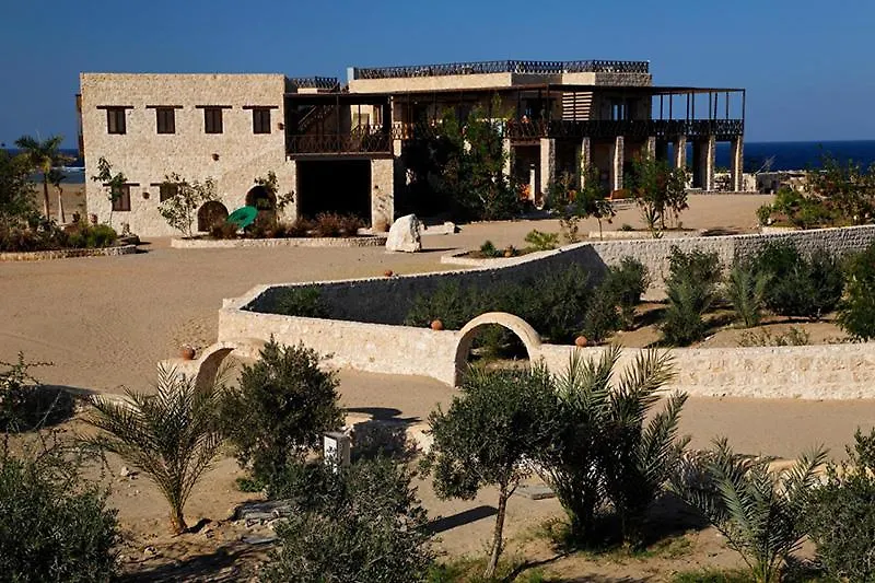 The Oasis-1