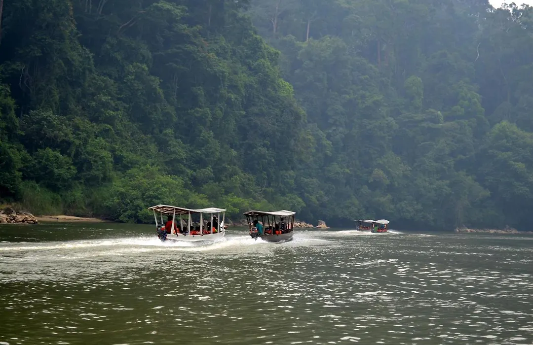 Mutiara Taman Negara Resort-1