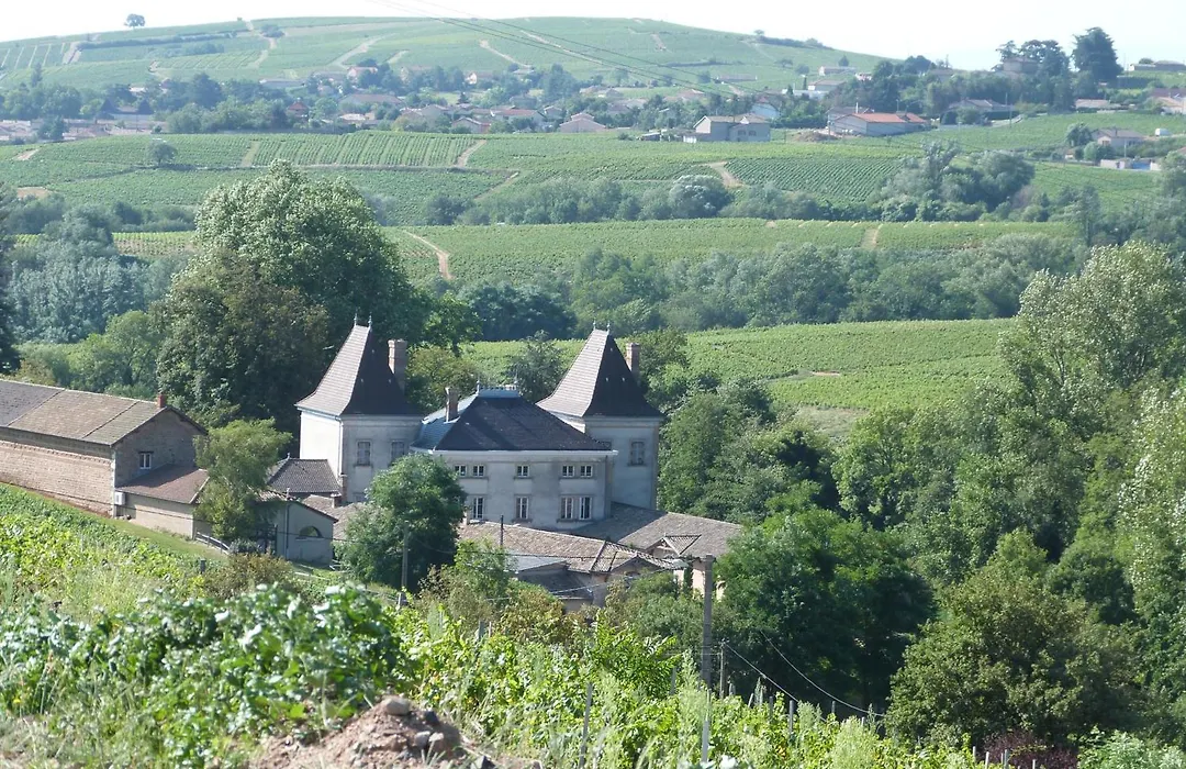 Logis Hotel Des Grands Vins-1
