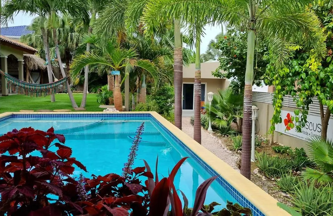 Hibiscus Beach House-1