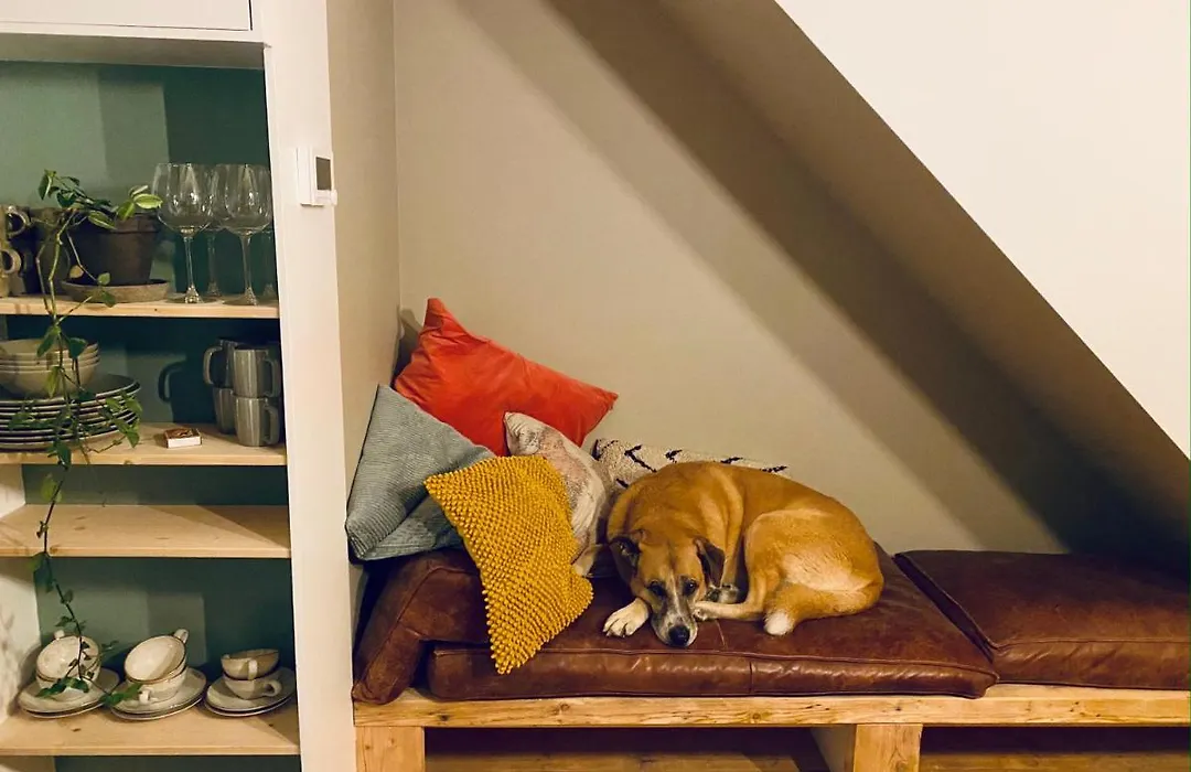 Tiny Beachhouse-1
