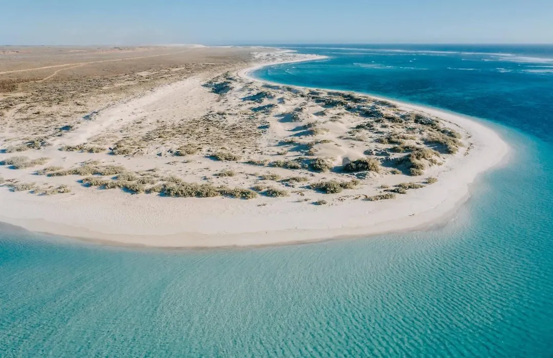 Gnaraloo Station - Homestead-1