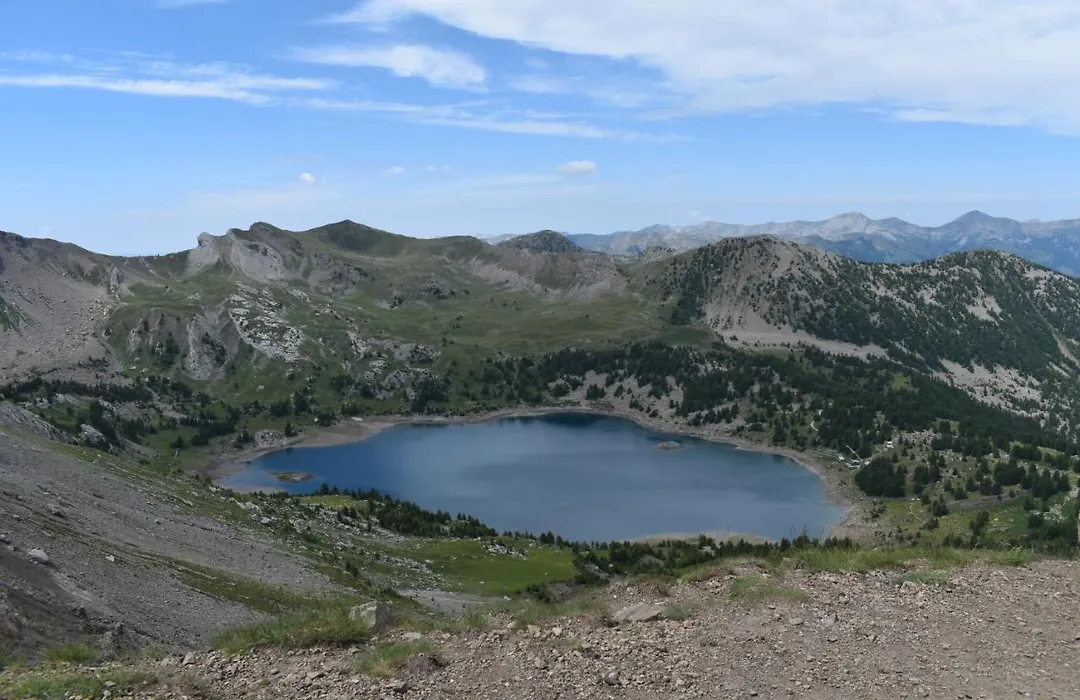 Les marmottes d Estenc-1