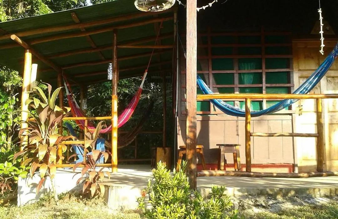 Vista Alta Ecolodge Bahia Drake-1