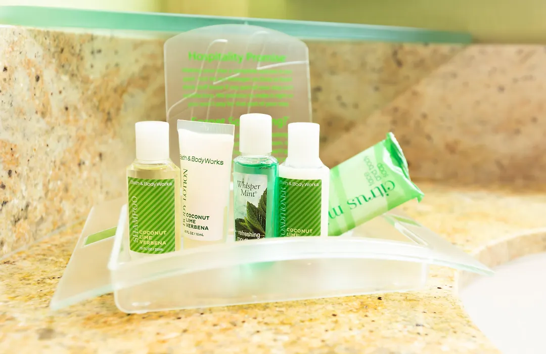 Holiday Inn San Jose-Silicon Valley By Ihg-1