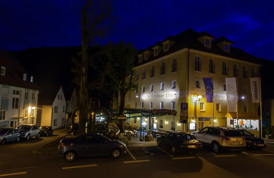 Akzent Hotel Goldner Stern-1