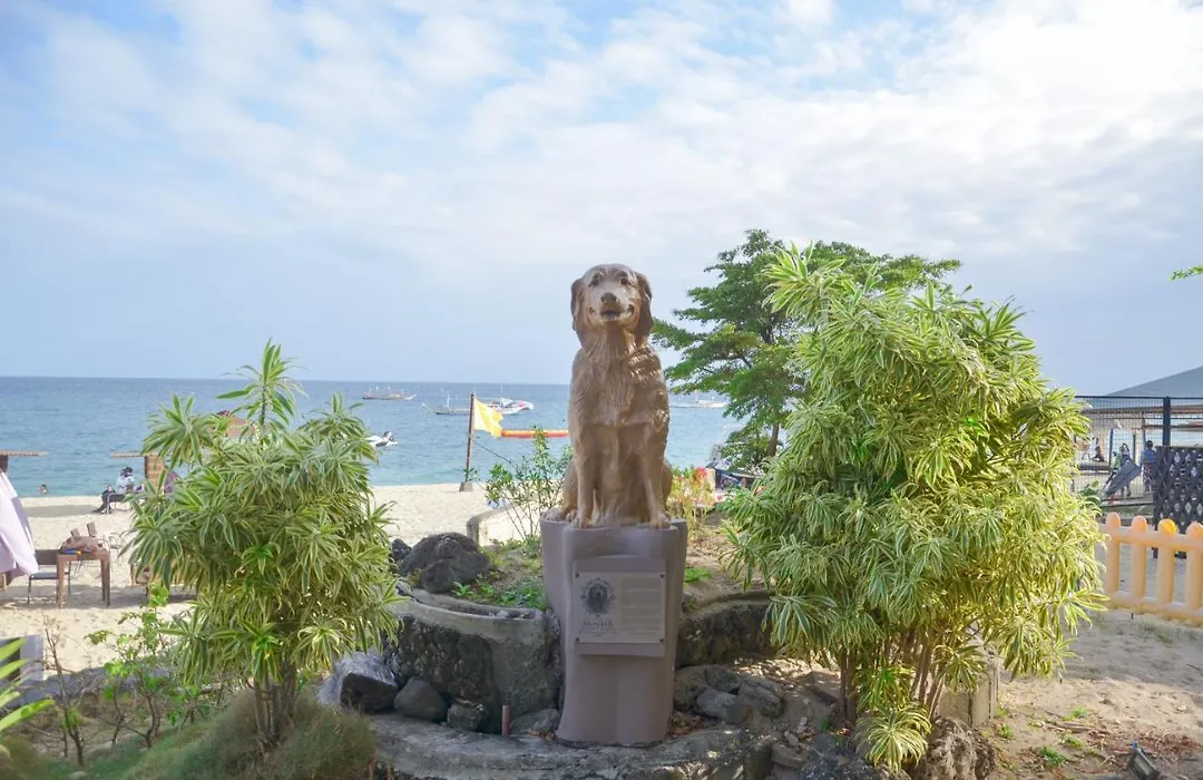 Acuaverde Beach Resort-1