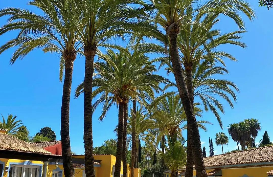 Cortijo La Saleta-1