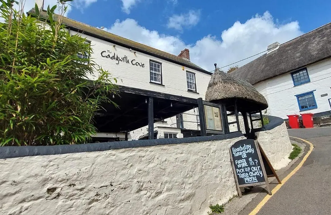 Cadgwith Cove Inn-1