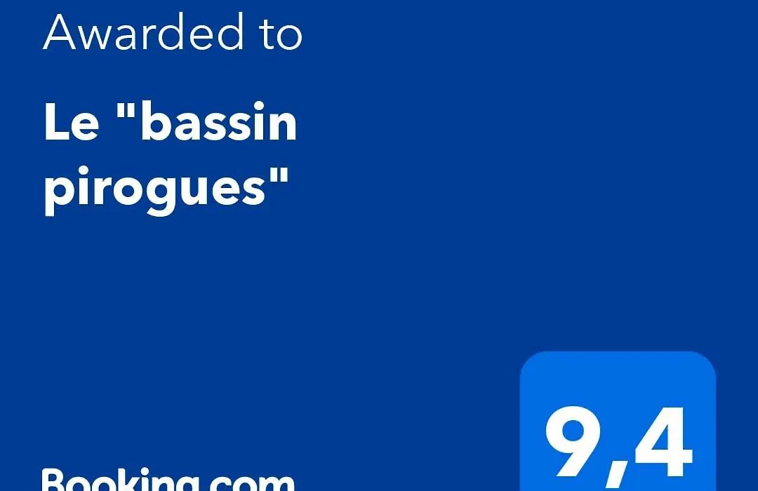 Le bassin pirogues-1