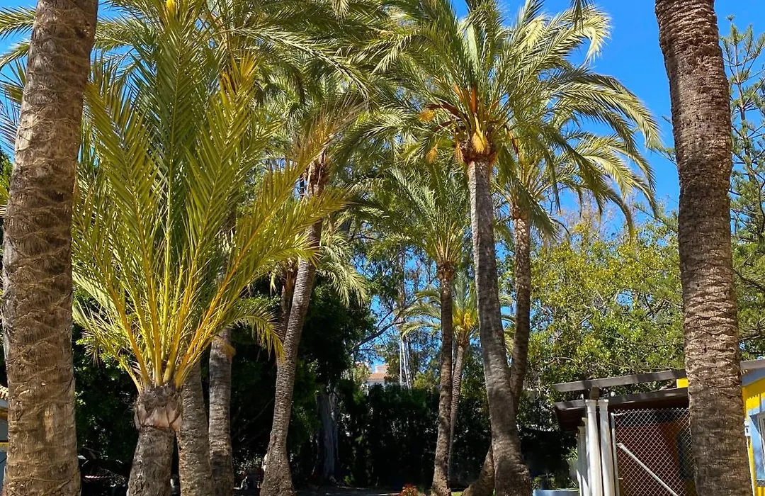Cortijo La Saleta Banus-1