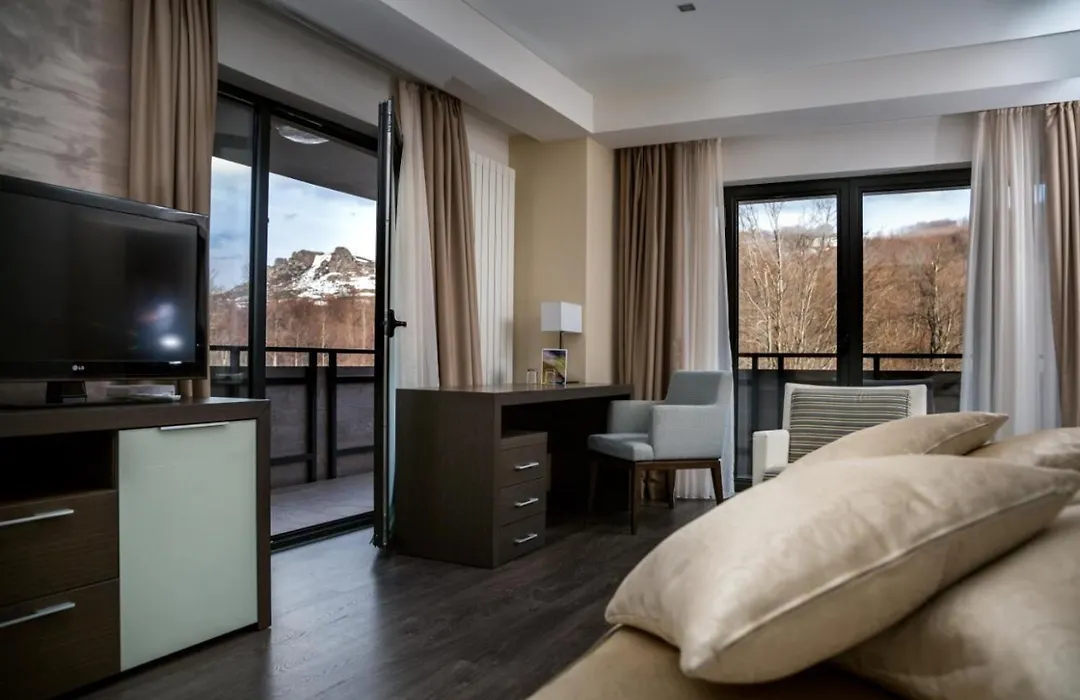 Hotel Stara Planina-1