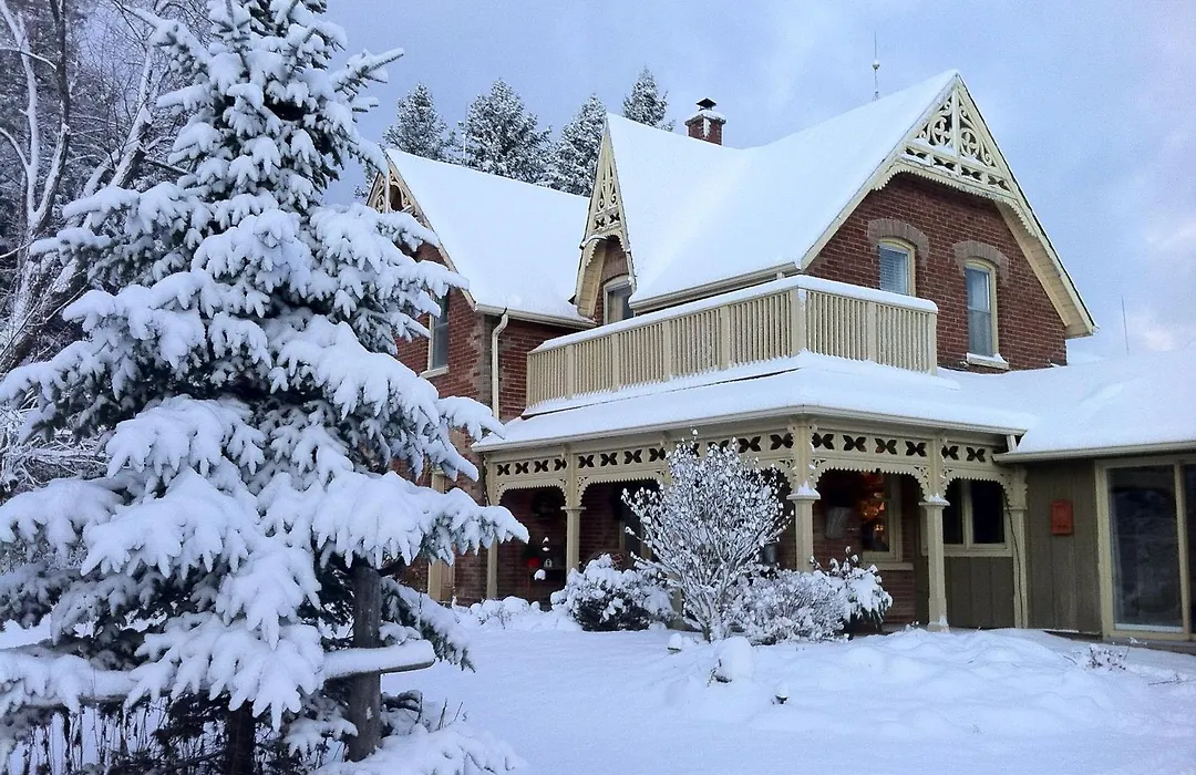 Foxingham Farm Bed & Breakfast-1