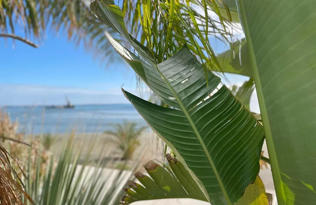 Lebay Beach Hotel-1