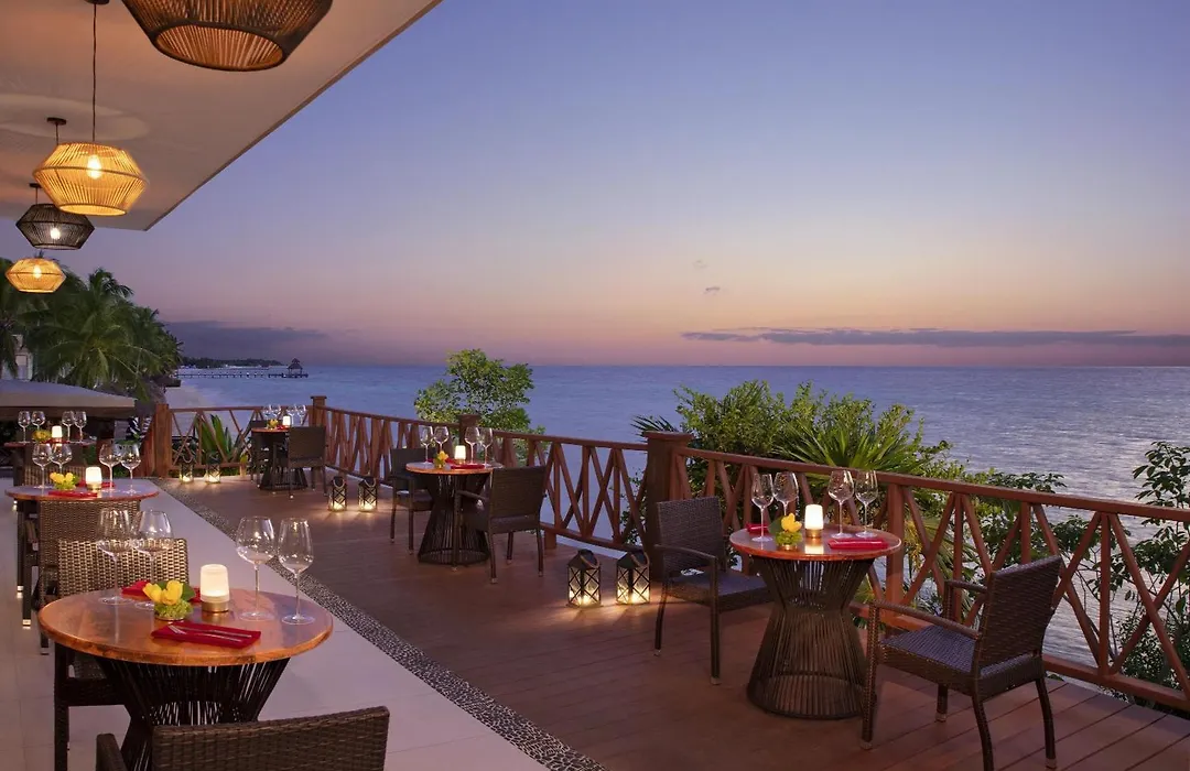 Dreams Cozumel Cape Resort & Spa-1