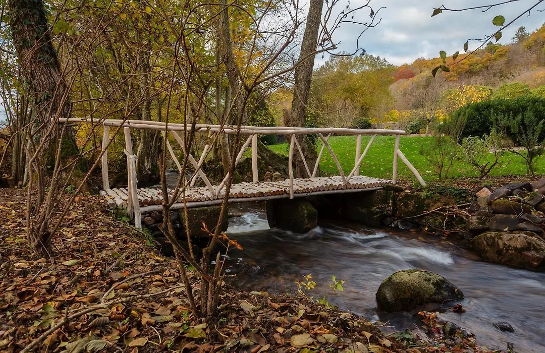 Moulin Renaudiots - Piscine, Nature & Parc Naturel Du Morvan-1