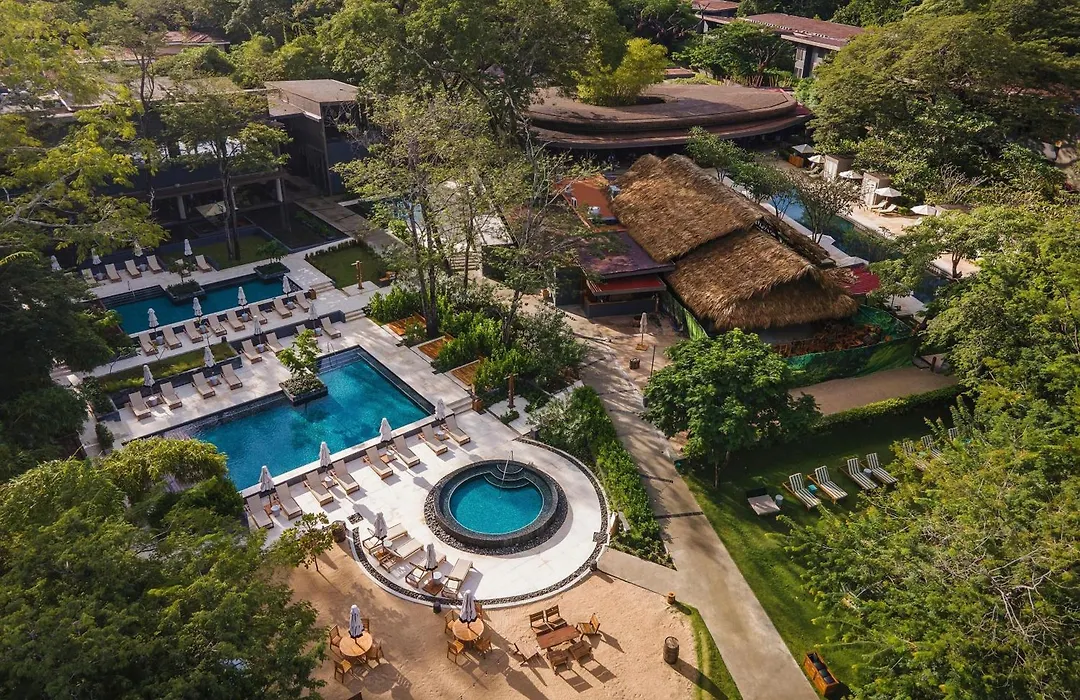 El Mangroove Papagayo, Autograph Collection-1
