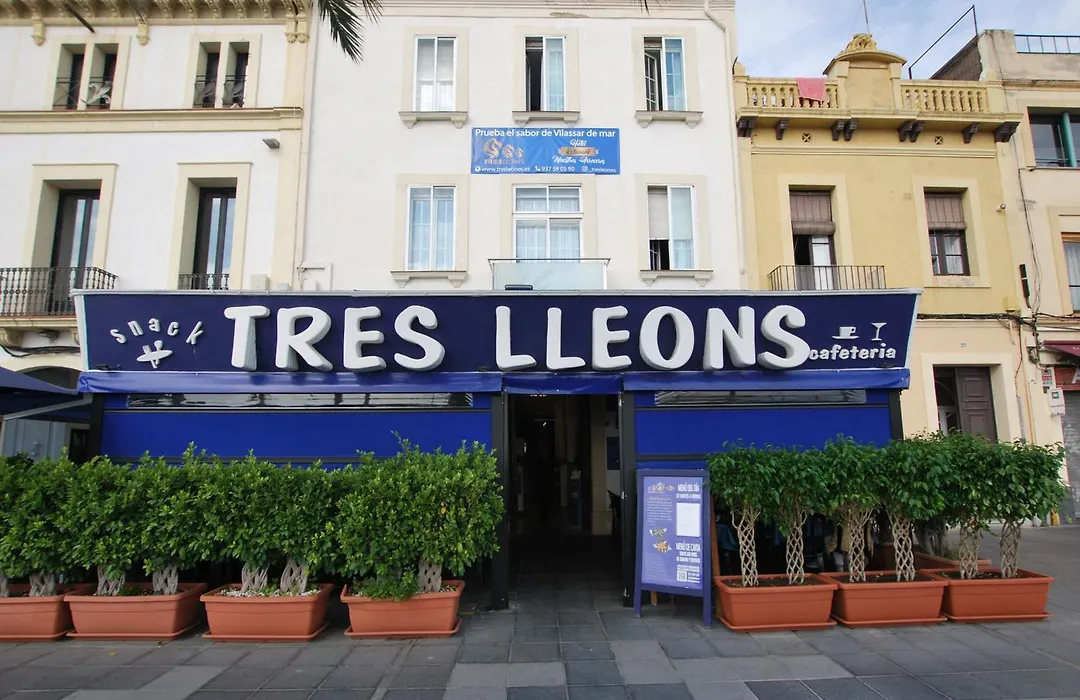 Hotel Tres Leones-1