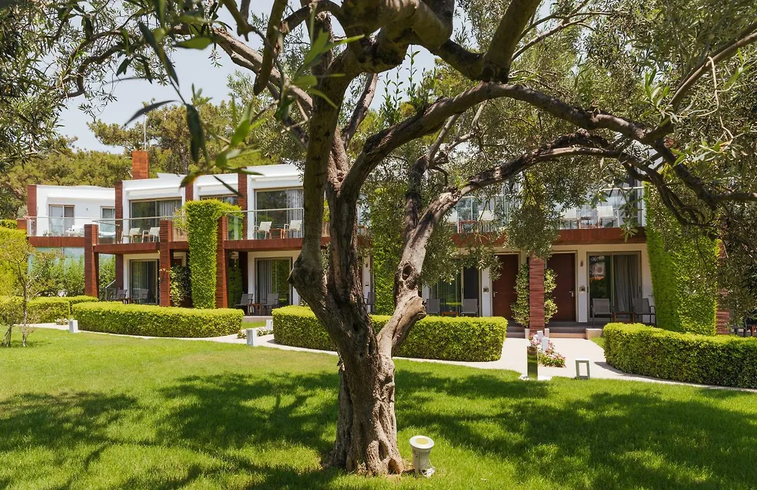 Ortunc Hotel - Cunda Island (Adults Only)-1