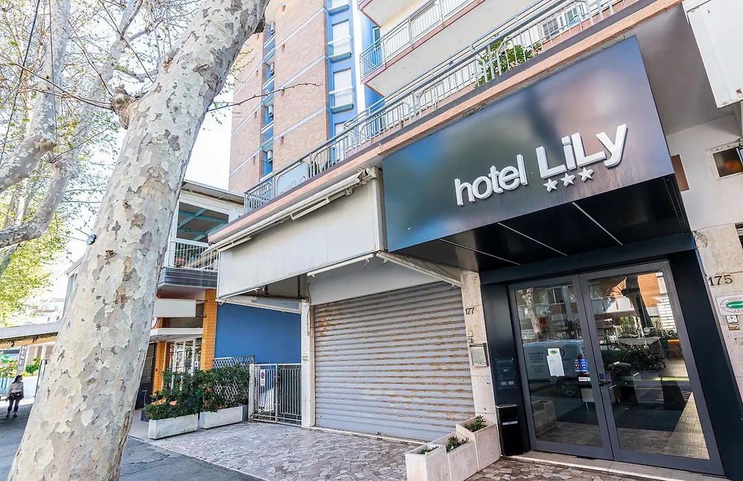 Hotel Lily-1