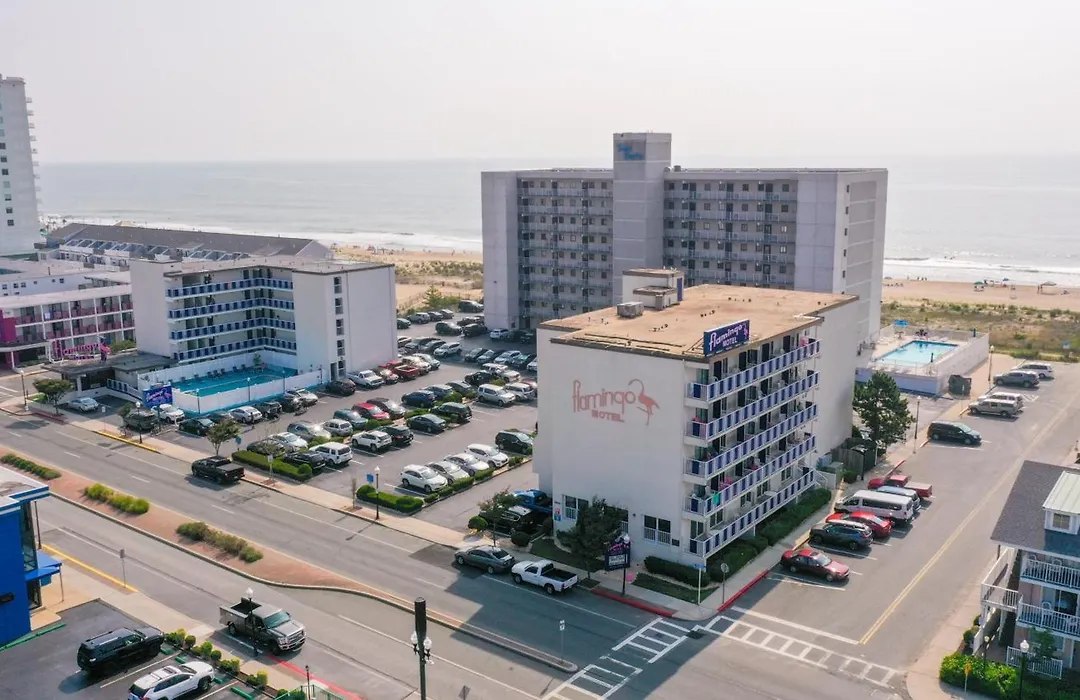 Flamingo Motel-1