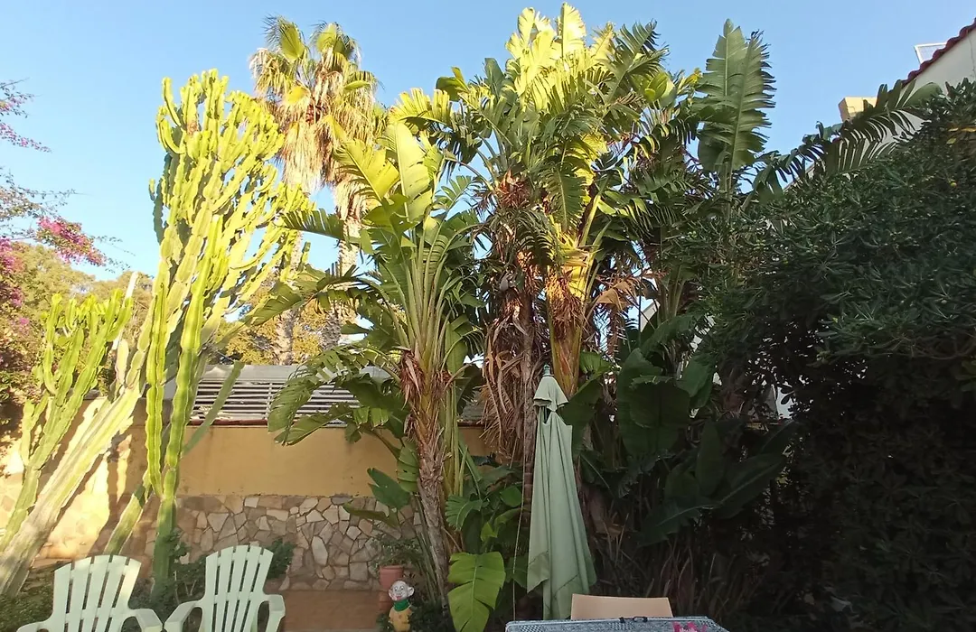 natura e relax sul mare-1