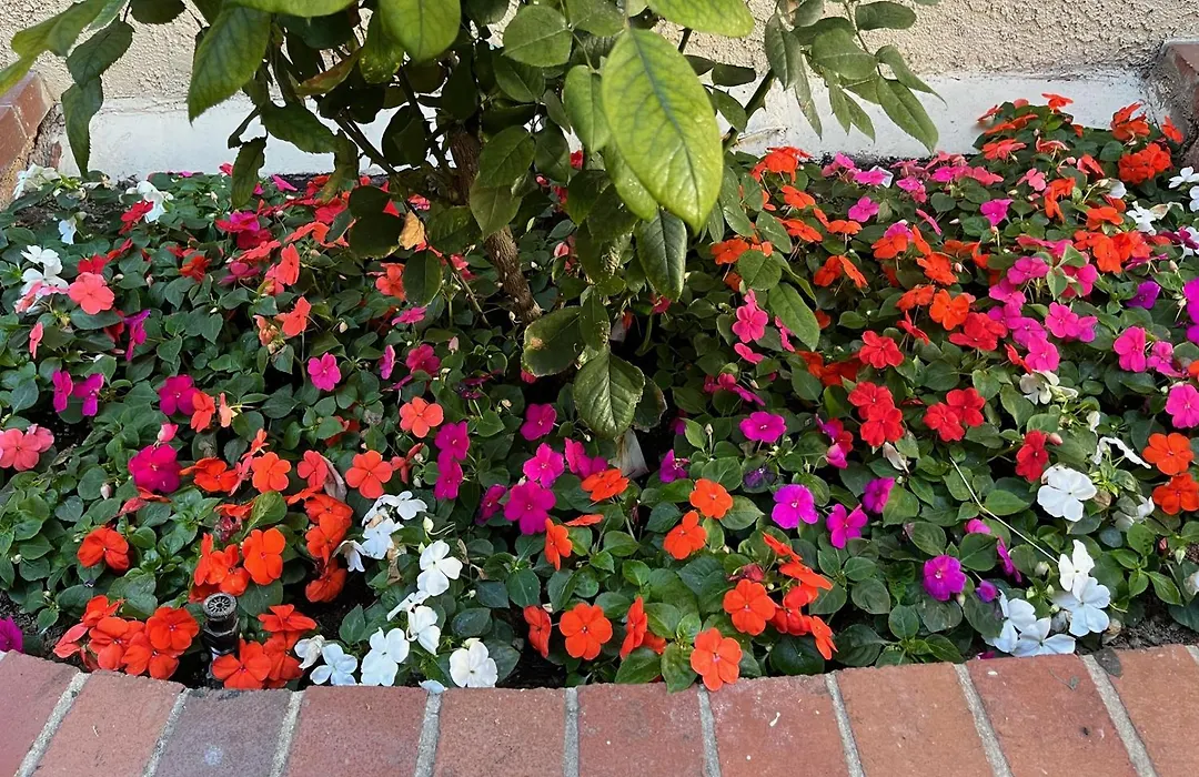 Laguna Inn And Suites-1