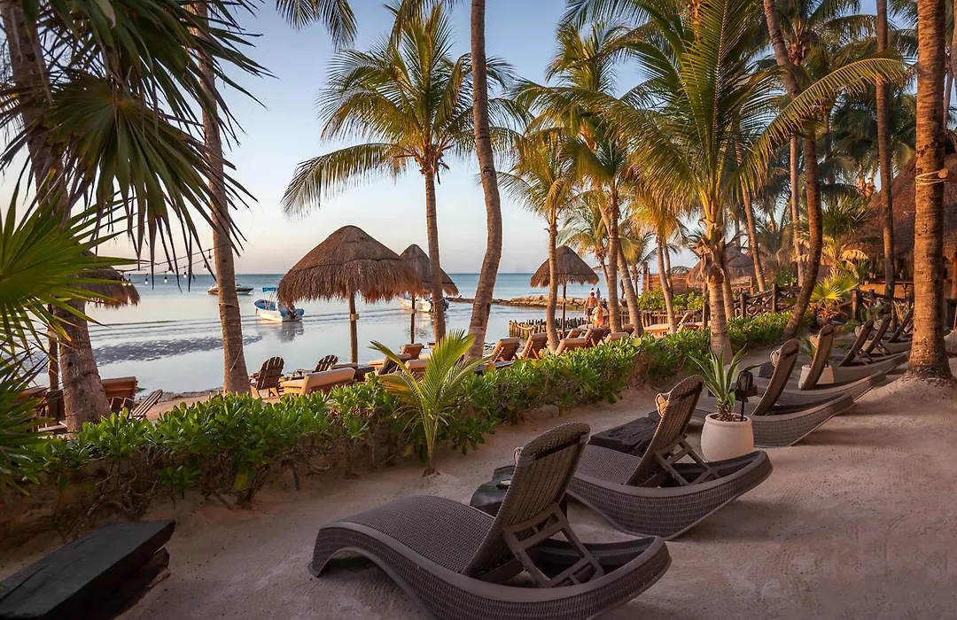 Beachfront Hotel La Palapa - Adults Only-1