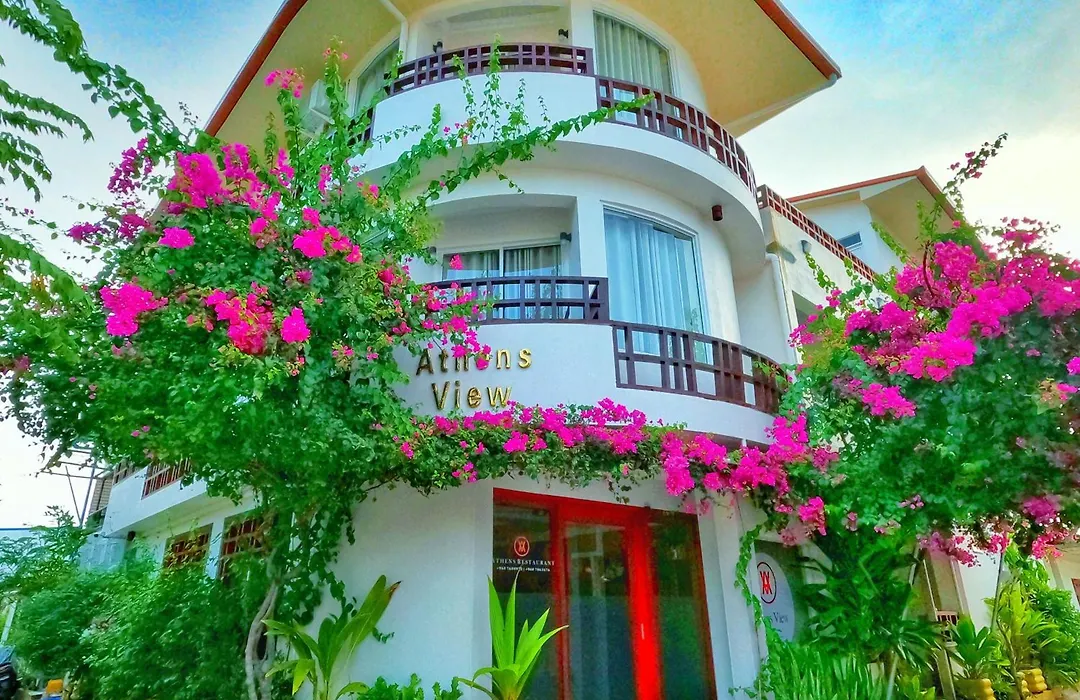 Athens View-1