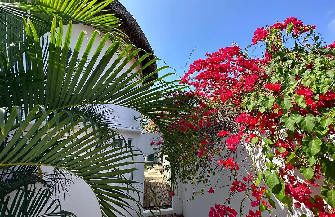 Beachfront Paradise Boutique Hotel-1