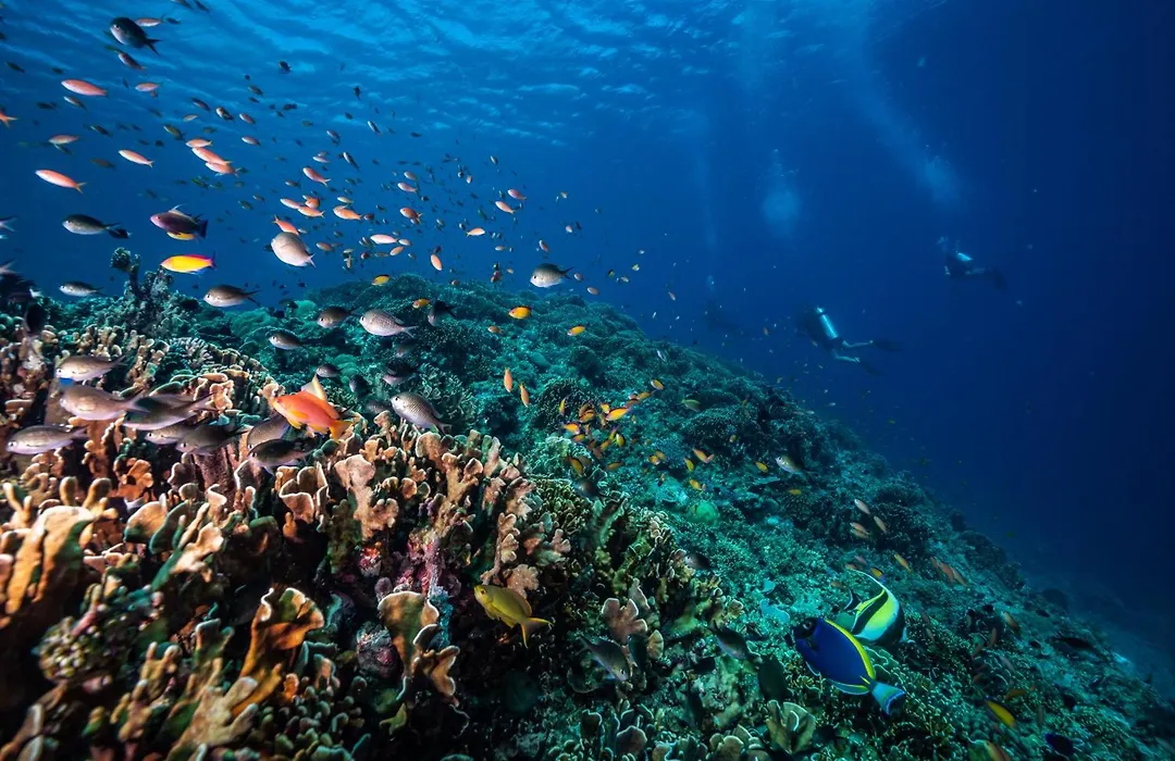 Trawangan Dive Centre-1