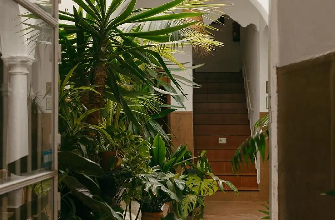 Hostal Africa-1
