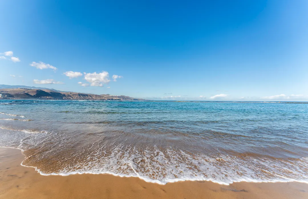 Occidental Las Canteras-1