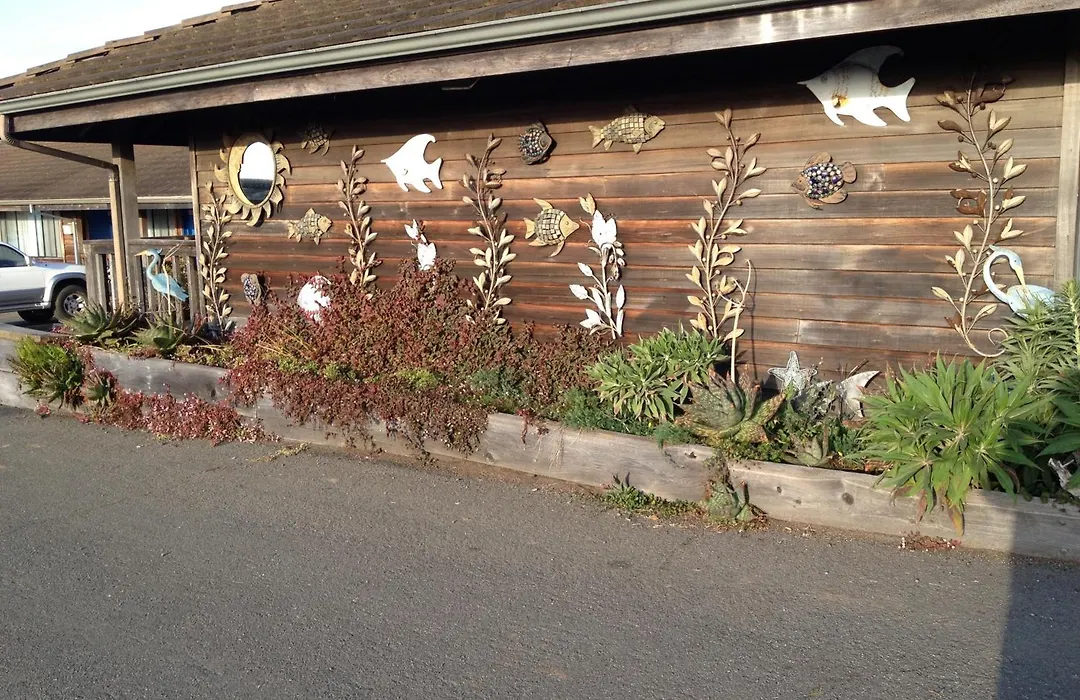 Gualala Surf Inn On The Ocean Bluff-1