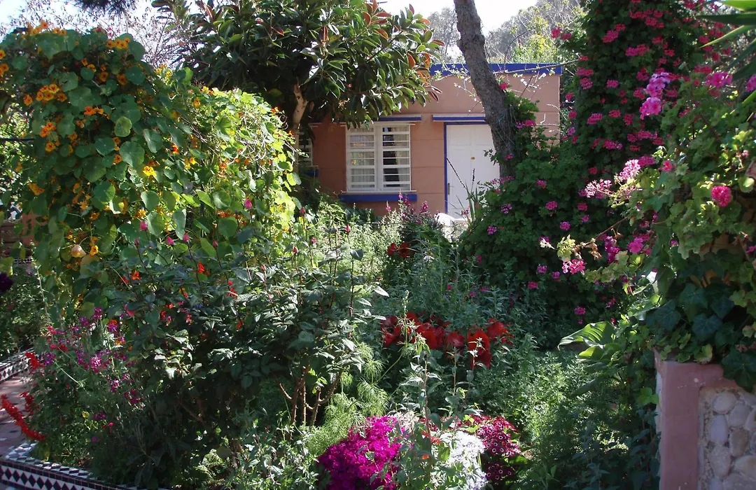 Hotel L'Hippocampe-1