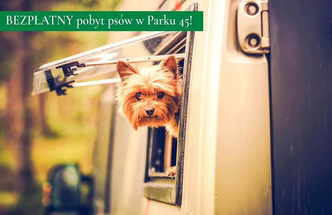Park45-1