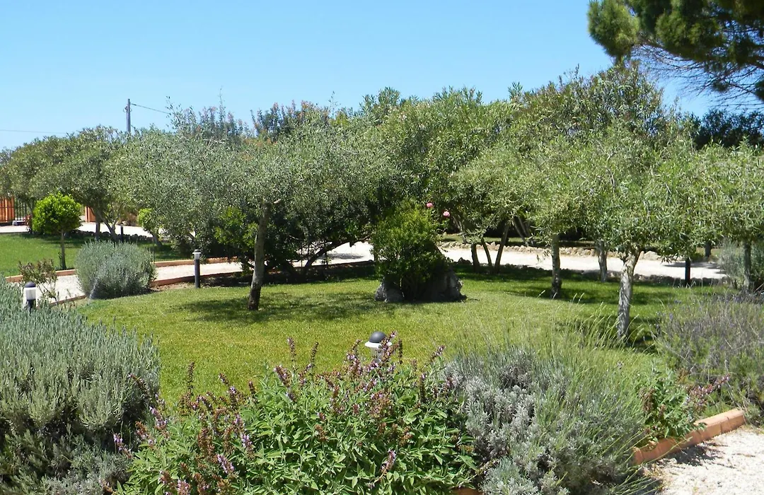 Is Benas Country Lodge-1