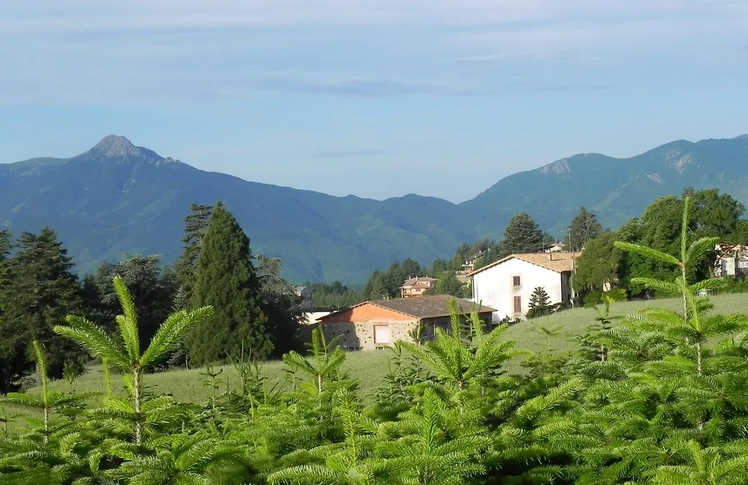 Hotel Ripoll-1