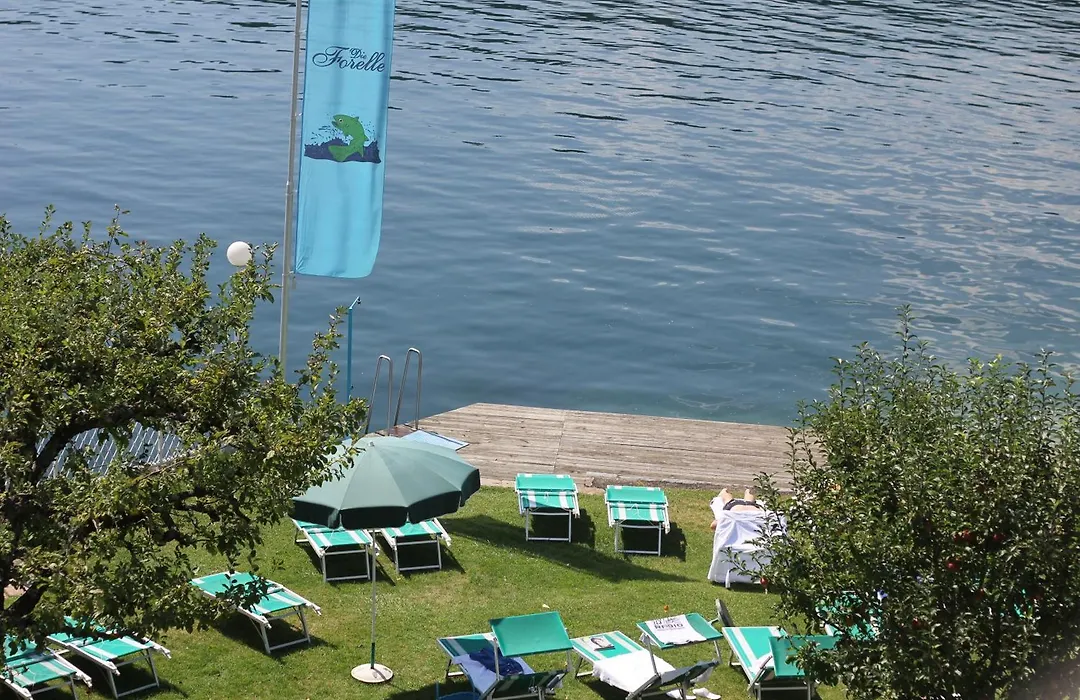 Seeglueck Hotel Forelle Superior-1
