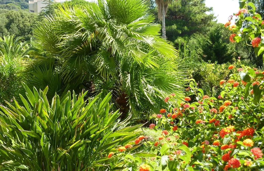 Hotel La Pinede-1